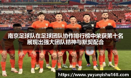 南京足球队在足球团队协作排行榜中荣获第十名展现出强大团队精神与默契配合
